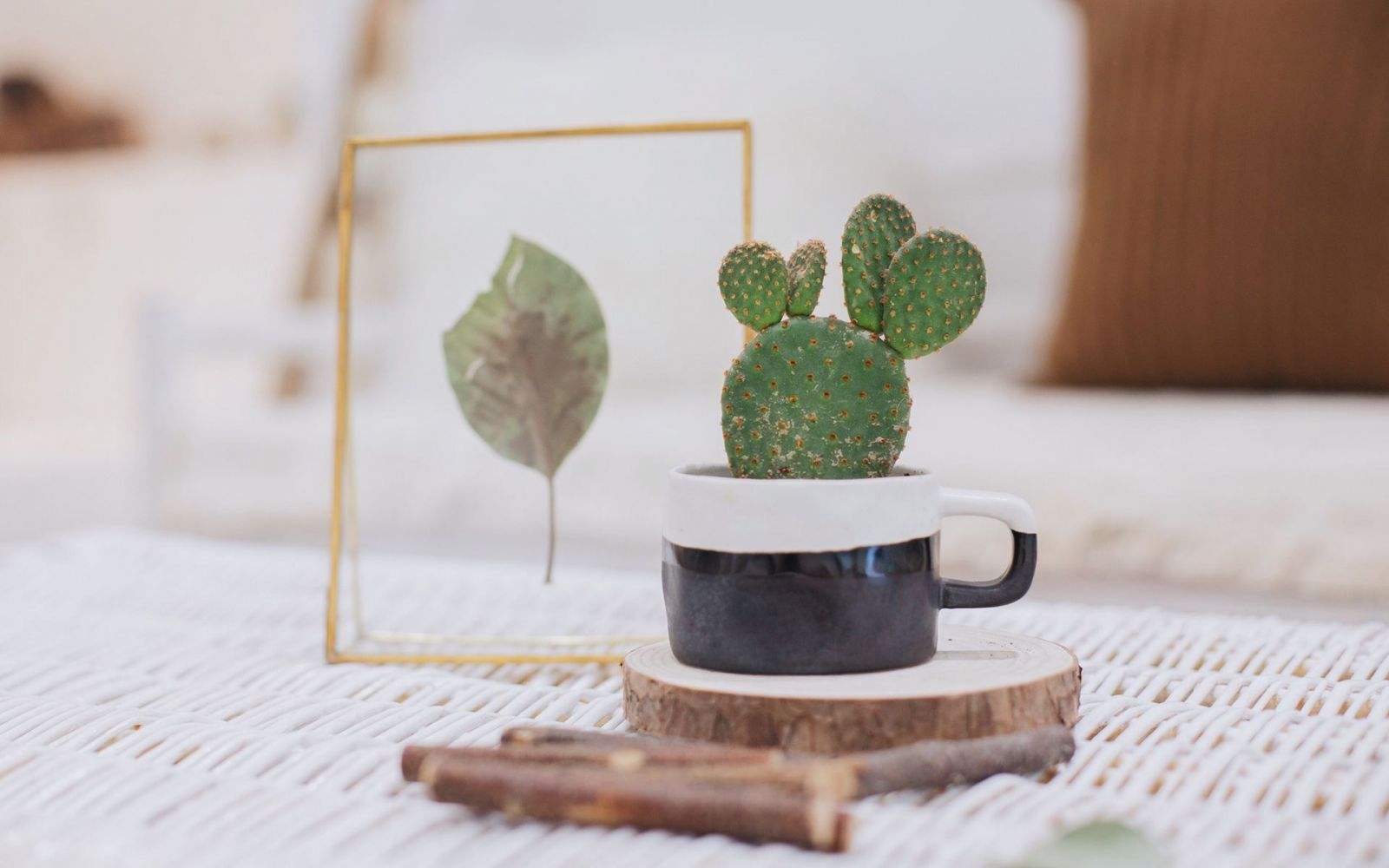 】2020年江苏成人高考专升本报名要求