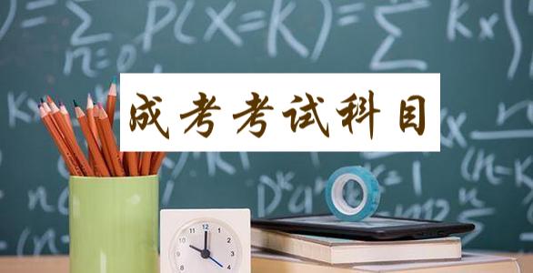 成人高考考试科目