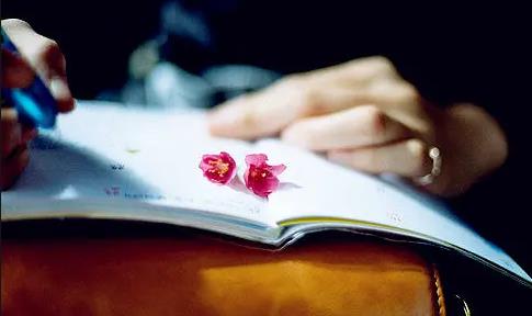 工商管理成人大专课程