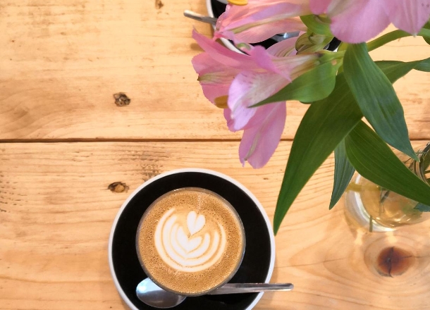 解读2024年南京师范大学成考本科报名条件