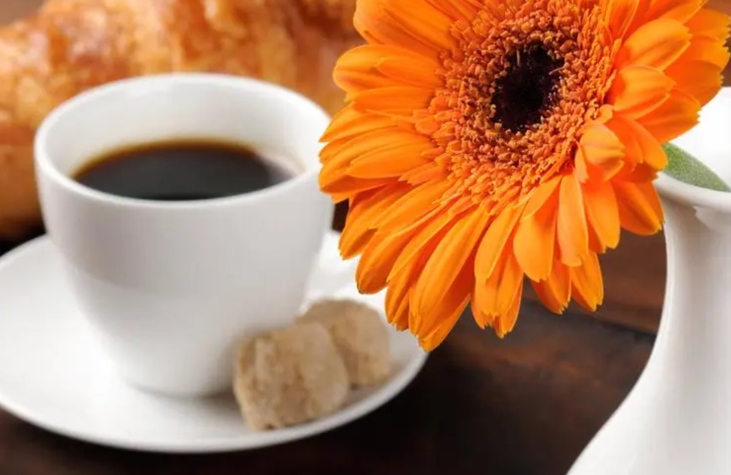 2024年常州大学成人高考：有哪些热门专业等你来选？