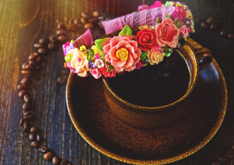 2024年南京师范大学成考本科报名全知道