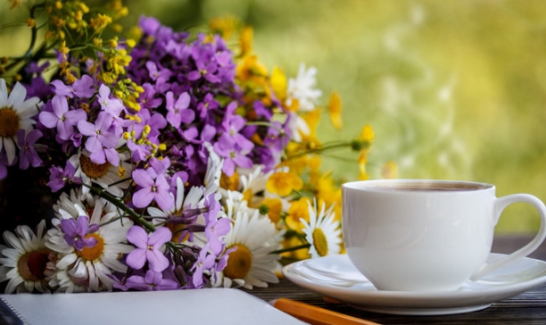 政审中的学历断层问题：如何有效应对