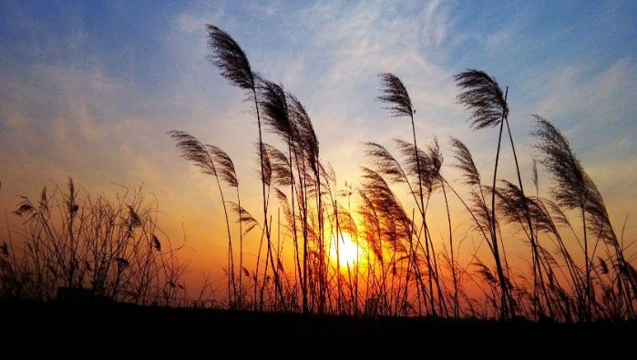 河海大学成考本科的上课方式与传统教育的区别