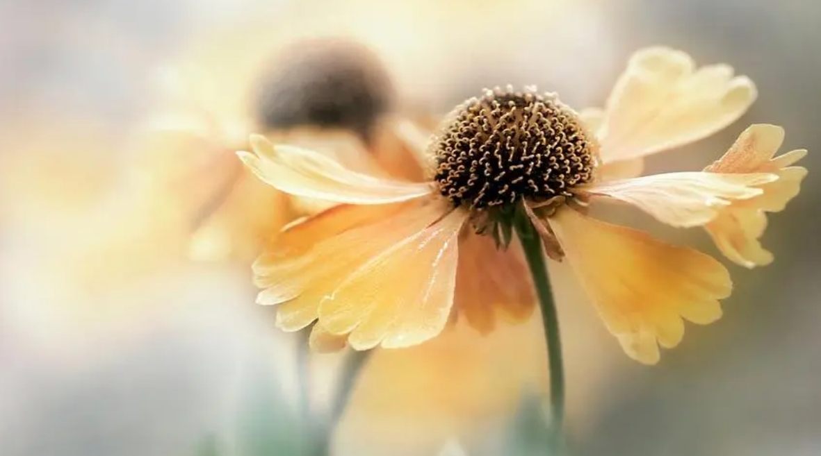 2024年中国矿业大学成人高考本科：可选专业一览