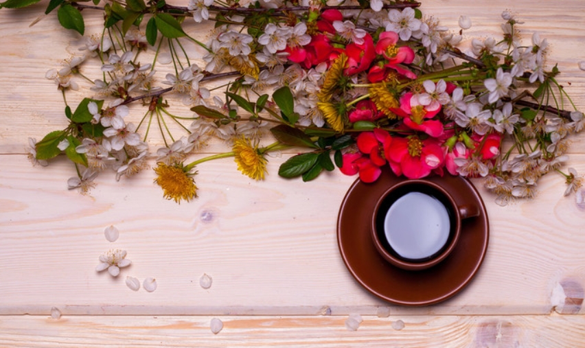 南京师范大学成考本科学士学位要求详解