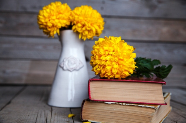 河海大学成考本科的录取难度如何？