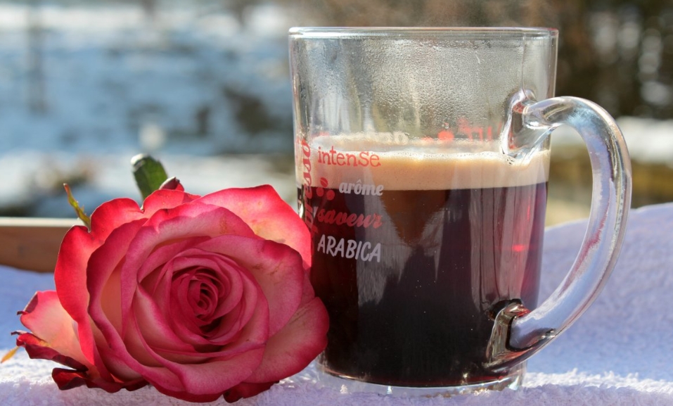 2024年南京师范大学成人高考录取难度揭秘