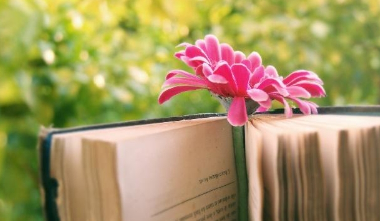 江苏师范大学成考本科的录取难易度解析