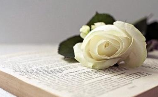 江苏师范大学成人高考毕业论文指导与答辩要求