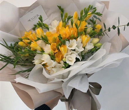 2024年南京工业大学成人高考