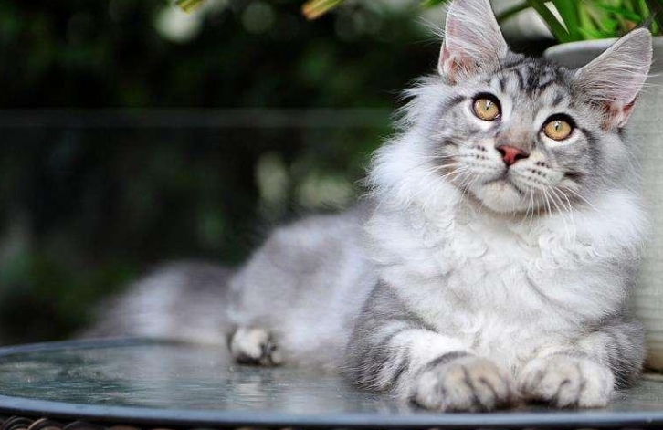 2024年泰州职业技术学院成人高考大专入学考试时间安排