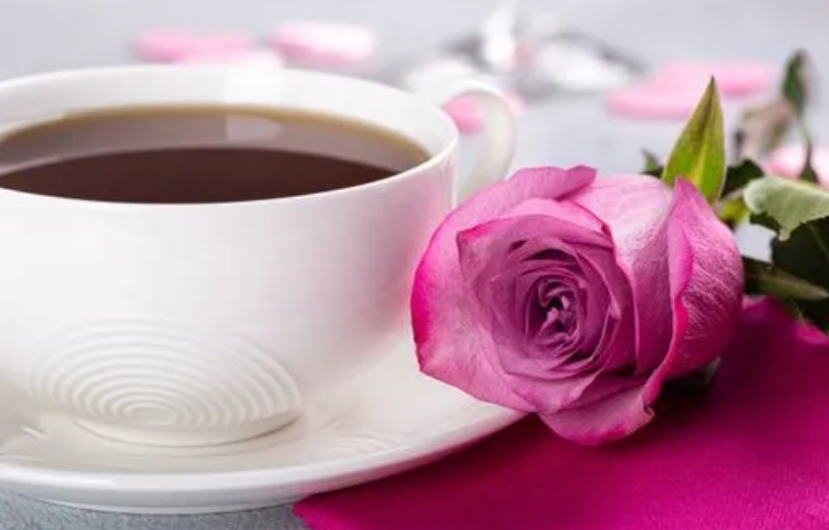 江苏科技大学成人高考录取难度分析