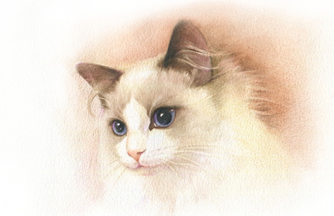 南京工业大学成人高考的学费明细