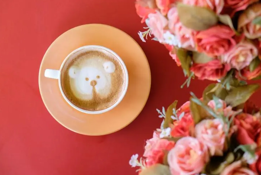 2024年江苏科技大学成人高考专业概览