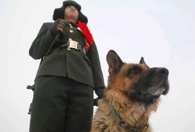 江苏成考专升本新政策：退伍军人免试入学，如何申请？