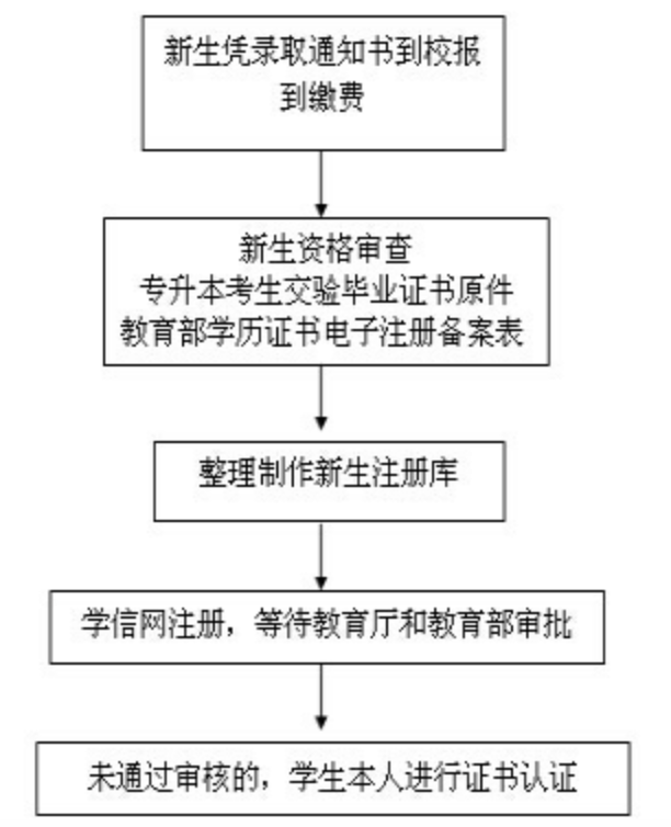 江苏成人高考新生学籍注册与查询 江苏成人高考新生学籍注册与查询
