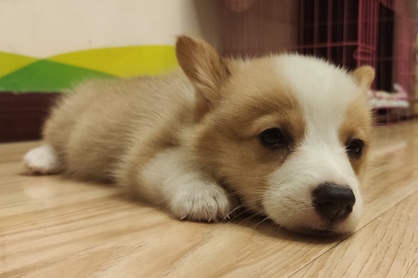 开放大学报考门槛：如何报名？