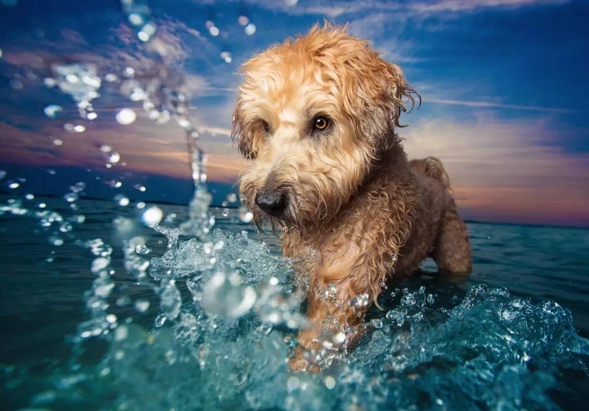 2024年江苏成人高考南通大学专升本报名流程（精简版）