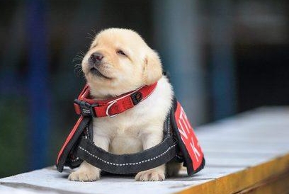 南通大学成人高考本科的学位难度有多大？