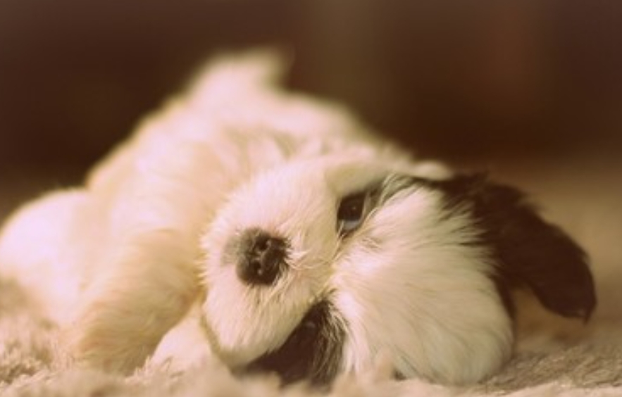 2024年江苏专升本考生注意：这些考试细节决定成败！